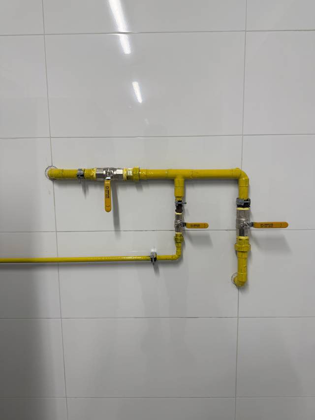Manifold de distribución